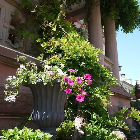 Castelnau Hotel Colmar Exterior photo