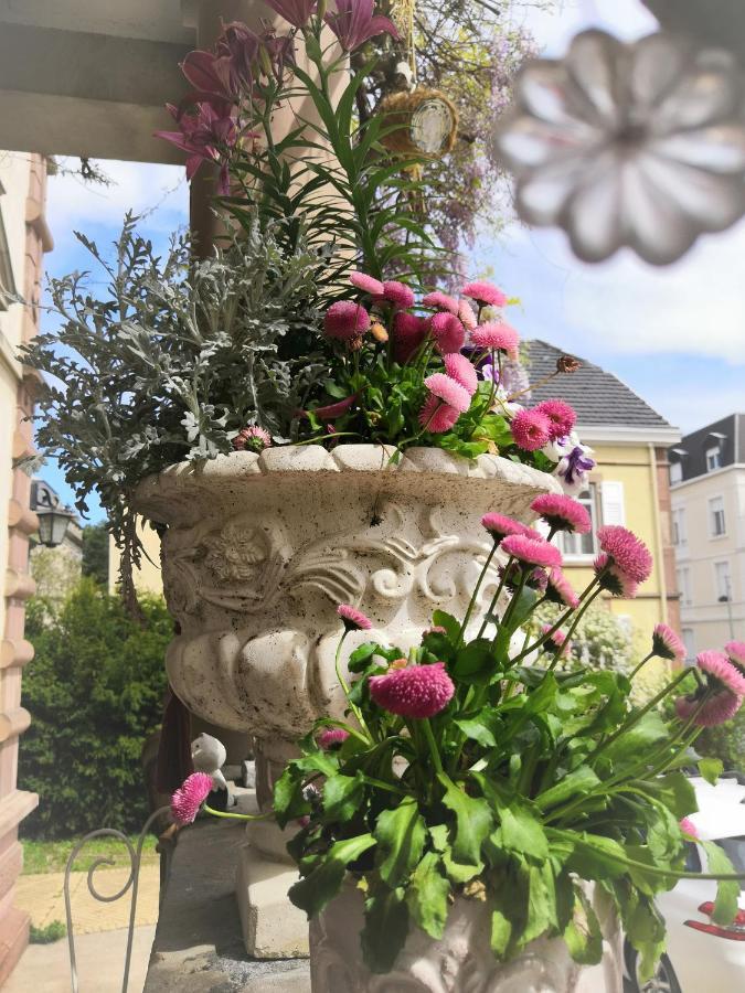 Castelnau Hotel Colmar Exterior photo