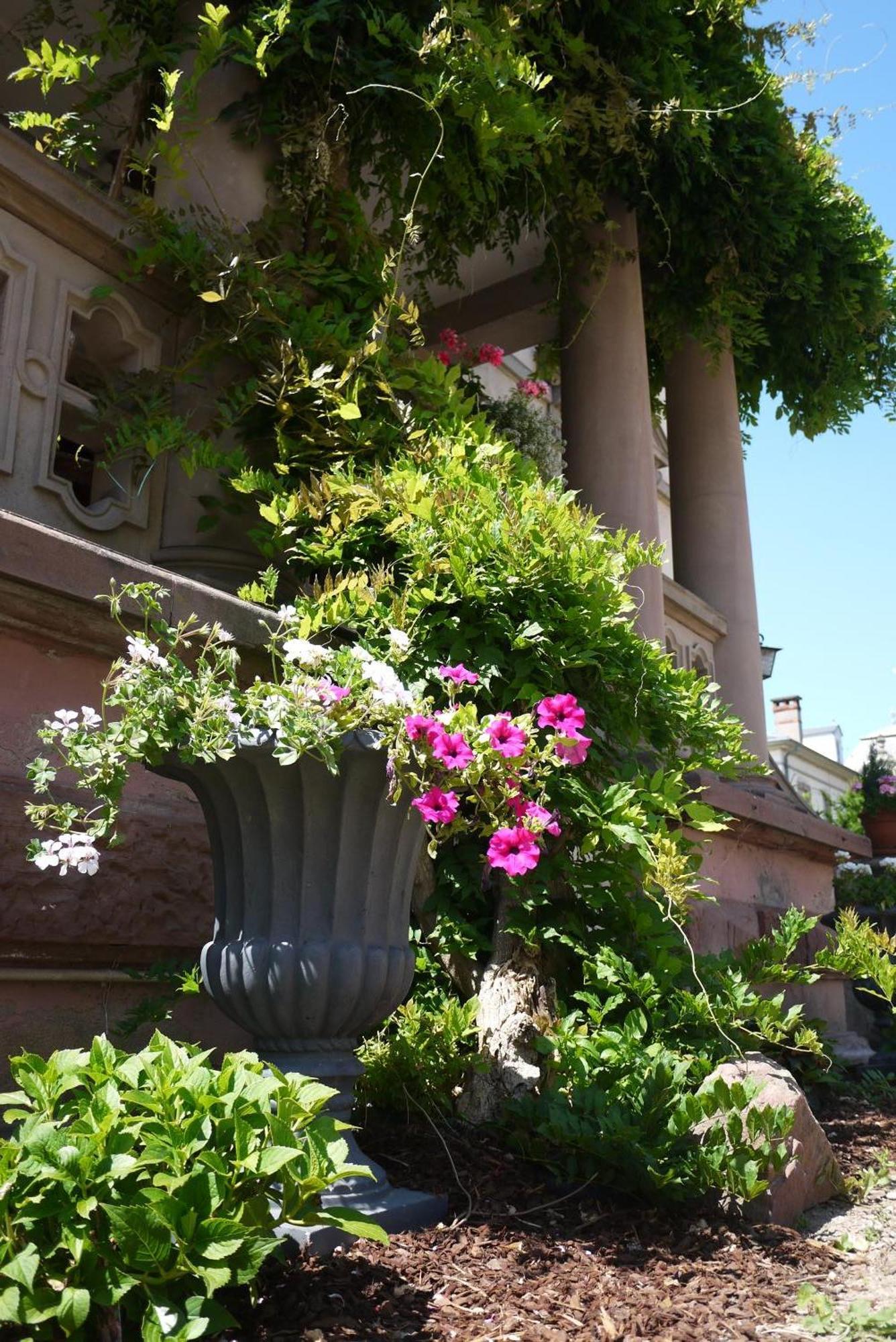 Castelnau Hotel Colmar Exterior photo